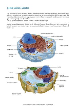 Biologia Cellule Animali Vegetali
