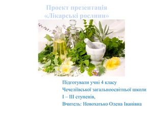 Лікарські рослини нашої місцевості