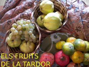 Fruits De Tardor