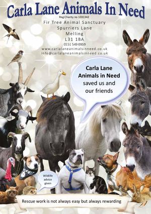 Carla Lane Animals In Need E Brochure