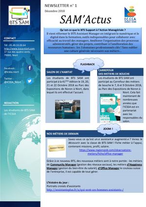 Icssa Newsletter Sam Décembre2018