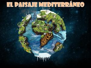 El Paisaje Mediterráneo