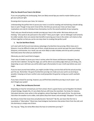 Winter Tree Pruning  101 Tips about Tree Trimming