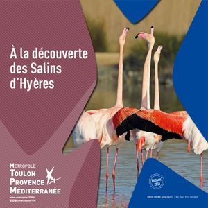 A la découverte des Salins d'Hyères