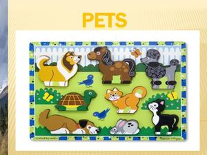 Презентация к уроку английского языка по теме Pets.