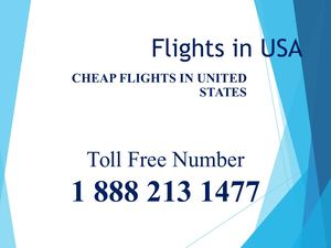 Searching for Flights in USA? Contact Us!