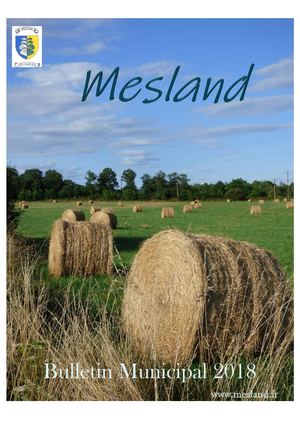 BULLETIN MUNICIPAL MESLAND 2018