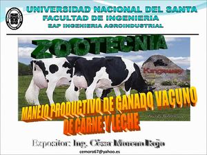 Presentacion Ganado Vacuno De Carne Y Leche 2010