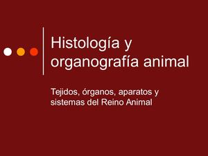 Histologia Y Organografia Animal 1