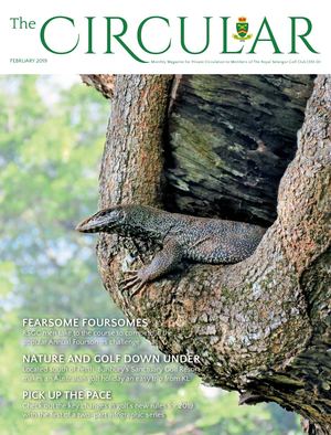 The Circular February 19