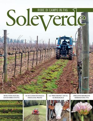 SOLEVERDE GENNAIO 2019