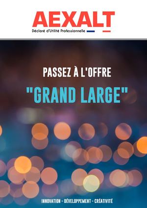 Flyer Grand Large