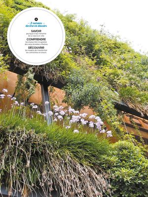 Dossier "Confluence" Gestion Eaux Pluviales