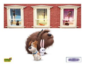 9 La Vida Secreta De Tus Mascotas