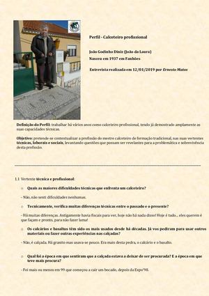 Entrevista Joao Godinho Diniz