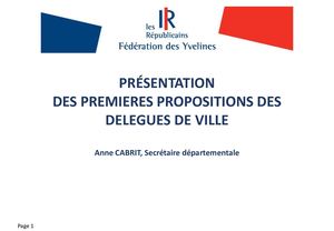 Présentation Propositions De Délégués De Ville Anne Cabrit