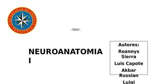 Portafolio Digital Neuroanatomia