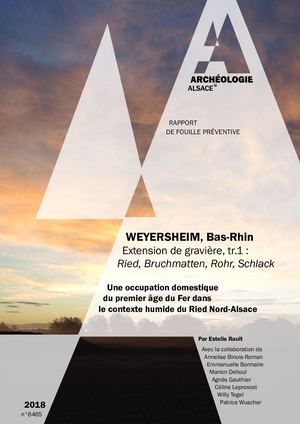 WEYERSHEIM, Ried, Bruchmatten, Rohr, Schlack, tranche 1 (F)