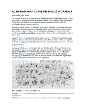 Actividad Para Clase De Biologia Grado 8
