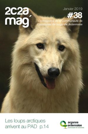 2c2a Mag' N°38 - janvier 2019