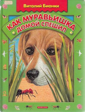 В. Бианки. Как муравьишка домой собирался. Сборник