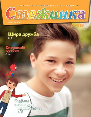 Стежинка 2019.2