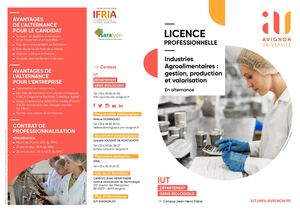 Plaquette Licence Pro Ms2a 2019