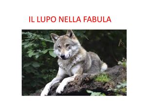 Il Lupo