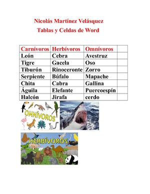 Nicolás Martínez Velásquez