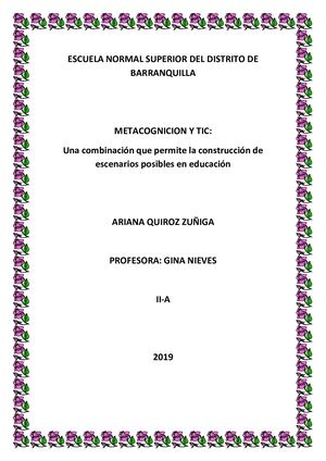 La Metacognicion Ariana Quiroz