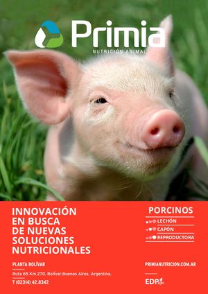 Catalogo Porcinos Ok