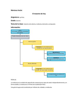 Mariana Rincón El Maestro De Hoy