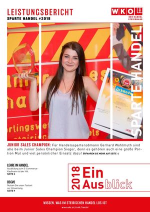 Leistungsbericht 2018