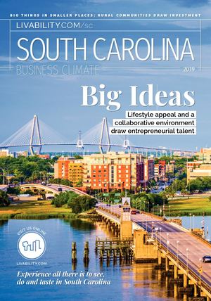 Calaméo South Ina Business Climate 2019 South Ina Business Climate 2019