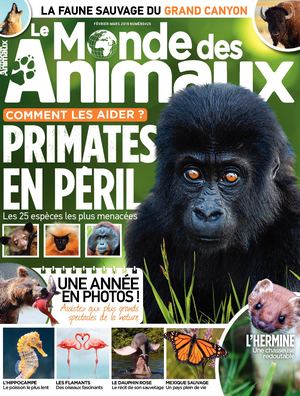 Le Monde des Animaux n°26