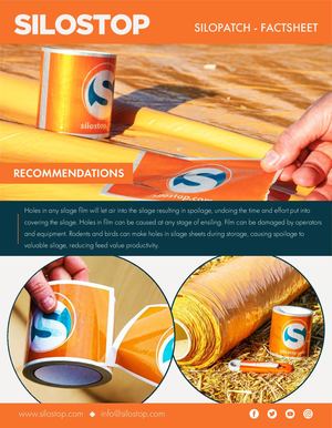 US FS SILOPATCH 2019