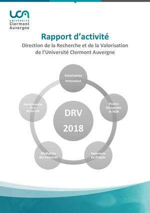 Rapport Activité Drv 2018 Vf