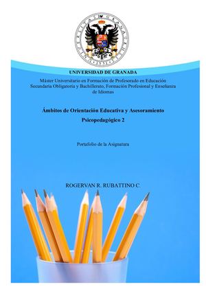 AOE2 Portafolio Rogervan Rubattino