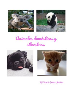 Curiosidades. Animales domésticos y silvestres.