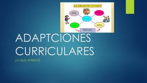 Adaptaciones Curriculares Lo Que Aprendí