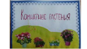 книжка своими руками КОМНАТНЫЕ РАСТЕНИЯ