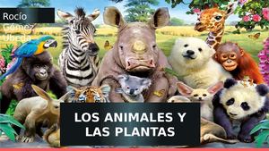 Ciencias Naturales 3º de primaria. Los animales y las plantas