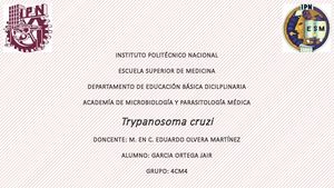 Trypanosoma Cruzi 1