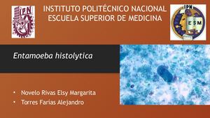 Entamoeba Histolytica