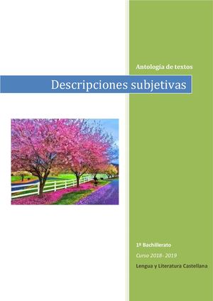 Descripciones Subjetivas 2019