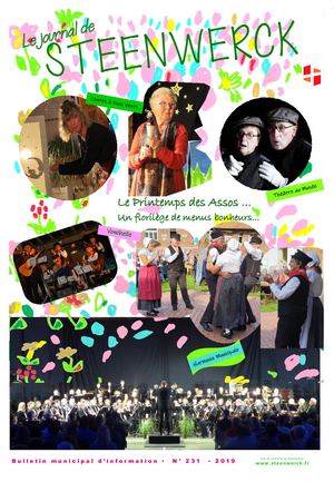 JOURNAL DE STEENWERCK 231