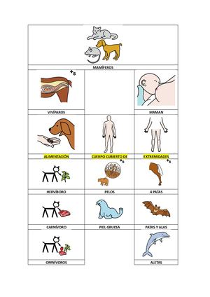 Tema 5 Esquema Animales