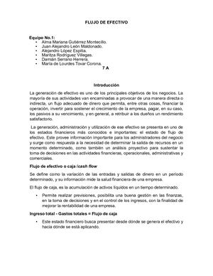 Reporte De Exposición Flujo De Efectivo