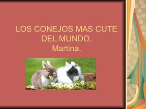 Los Conejos Mas Cute Del Mundo