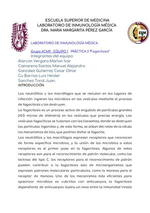 Práctica previo examen